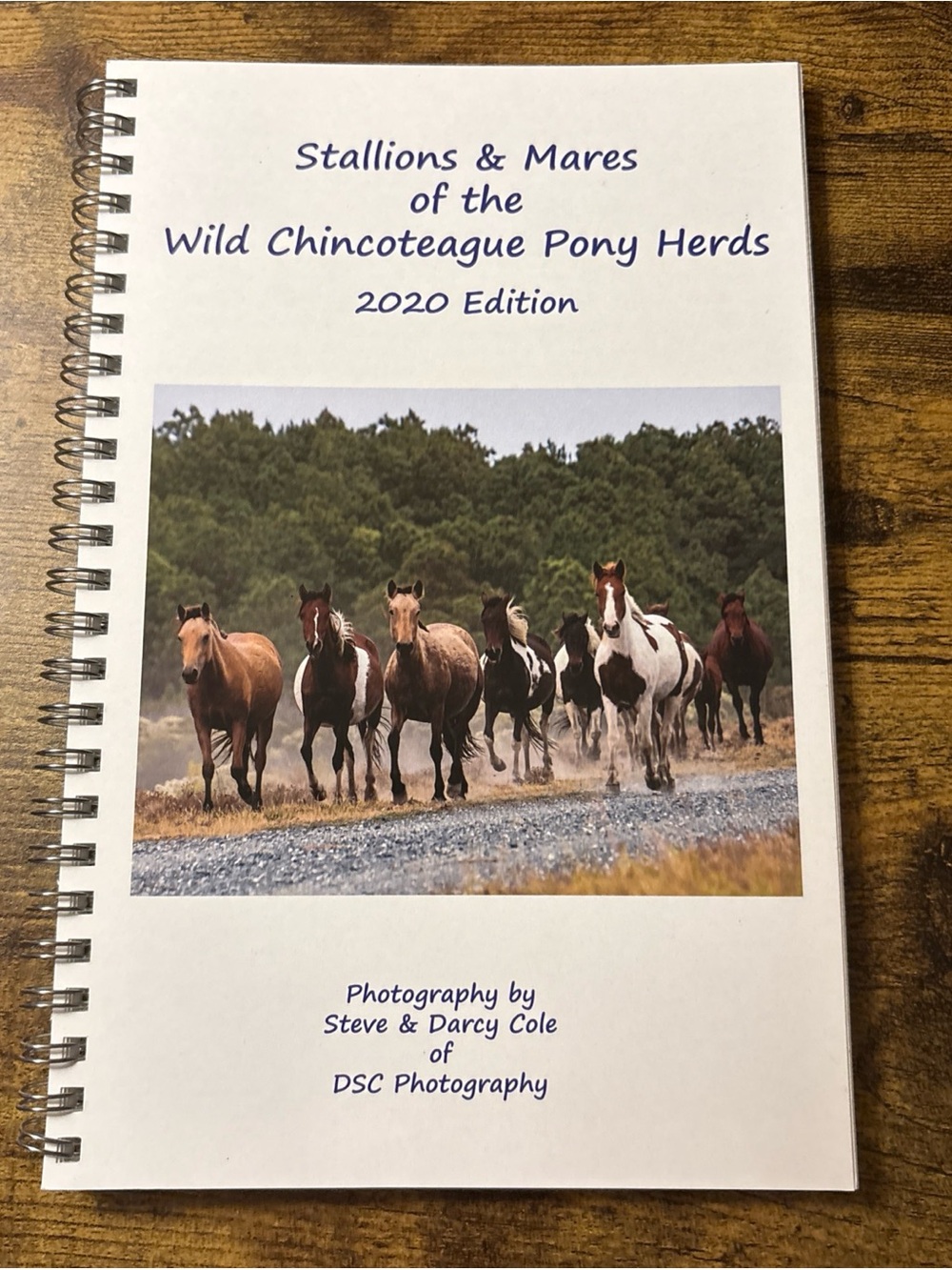 Stallions & Mares Of The Chincoteague Wild Ponies 2020 Edition - DSC Photography